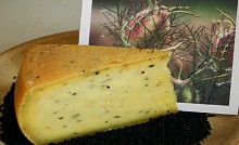 Bio-Käse-Spezialitäten - Eichsfelder Schnittkäse - Sorte: St. Hildegard