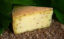 Bio-Käse-Spezialitäten - Eichsfelder Schnittkäse - Sorte: Kreuzkümmel